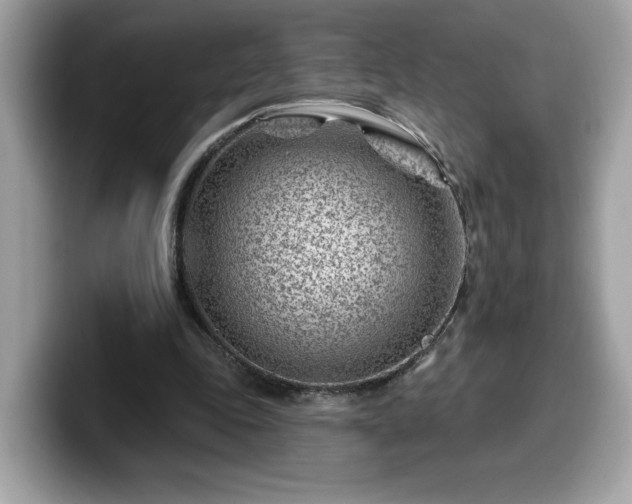 X0000099970343200805301338