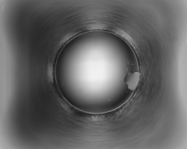 X0000099970345200805301338