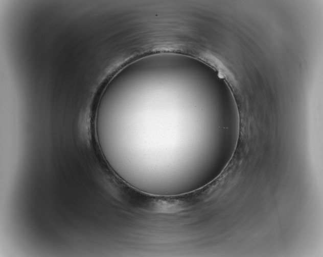 X0000099970346200805301338