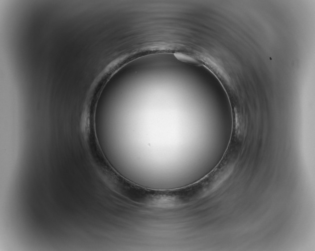 X0000099970348200805301338