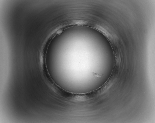 X0000099970350200805301338