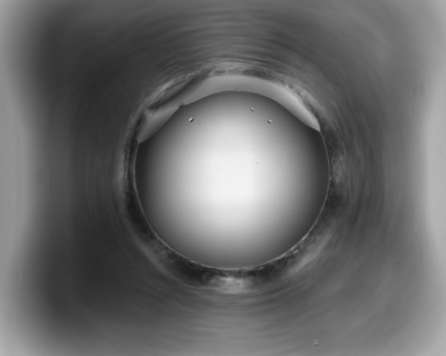 X0000099970352200805301338