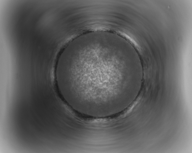 X0000099970353200805301338