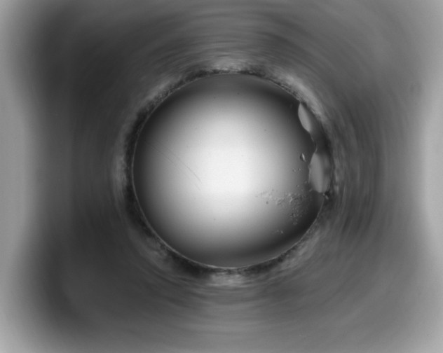 X0000099970354200805301338