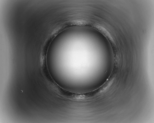 X0000099970355200805301338