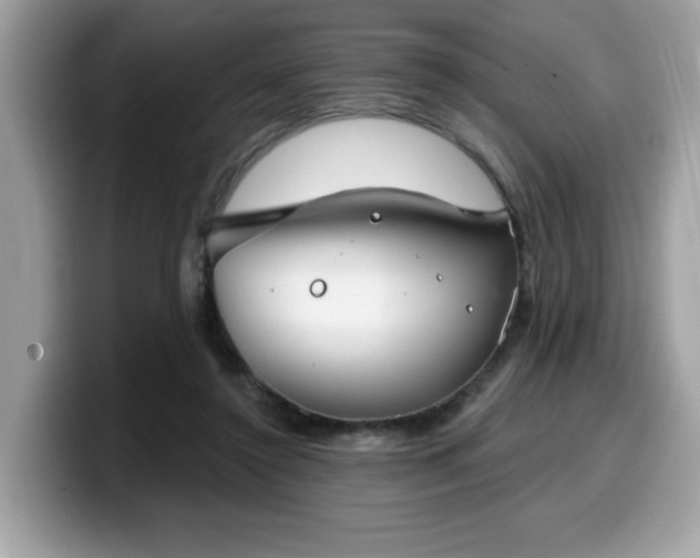 X0000099970356200805301338