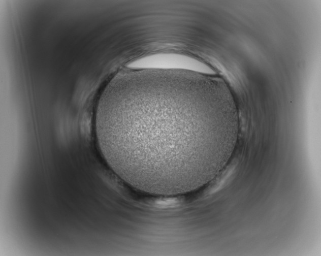 X0000099970357200805301338