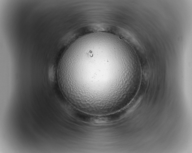 X0000099970359200805301338