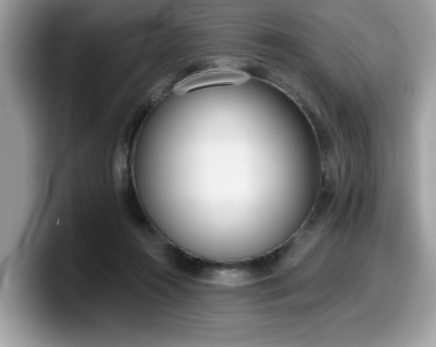 X0000099970360200805301338