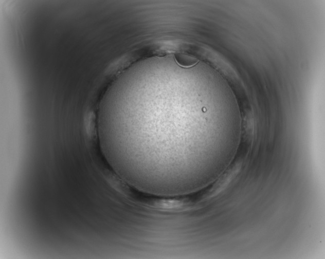 X0000099970361200805301338