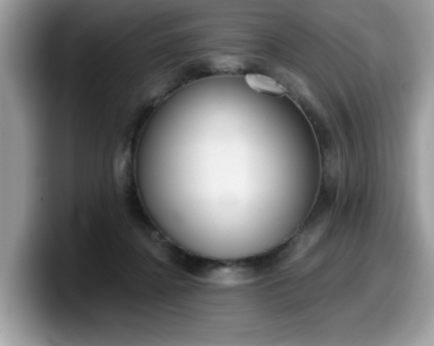 X0000099970364200805301338