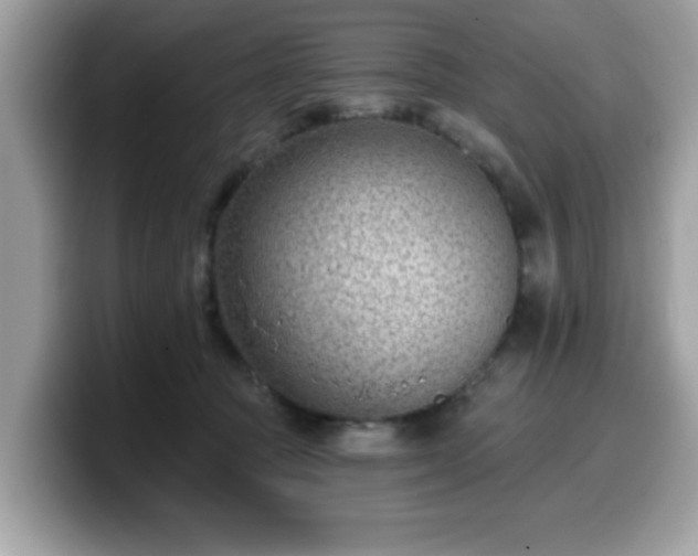 X0000099970369200805301338