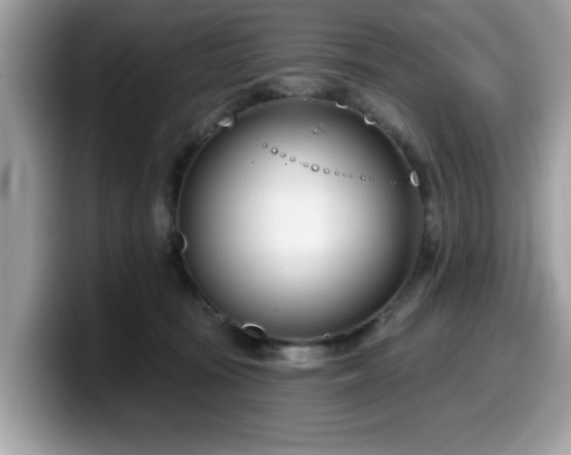 X0000099970371200805301338