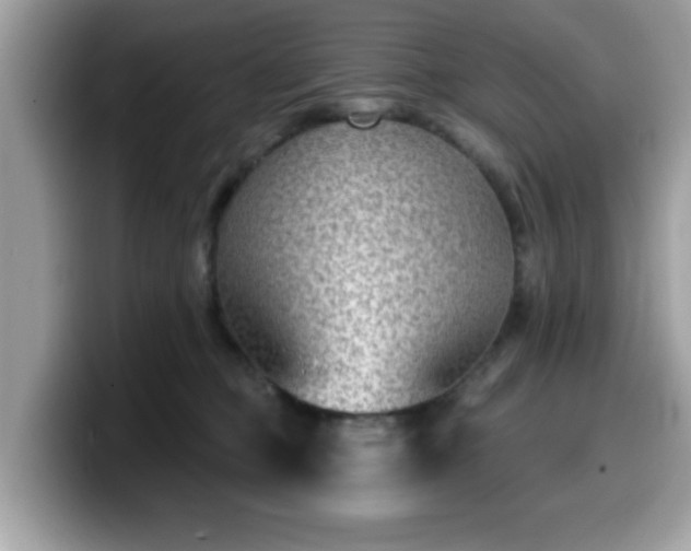 X0000099970373200805301338