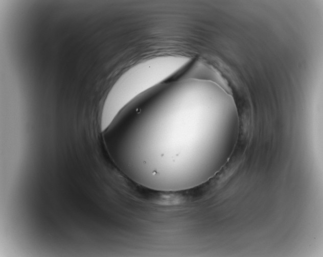 X0000099970376200805301338