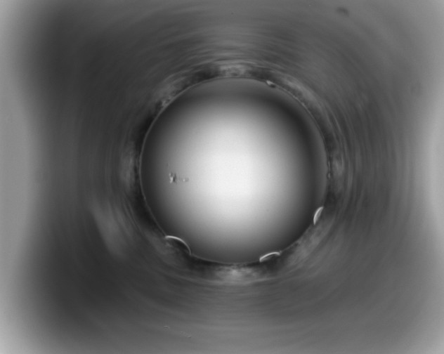 X0000099970379200805301338