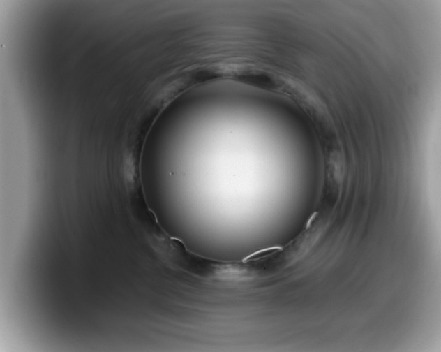 X0000099970380200805301338