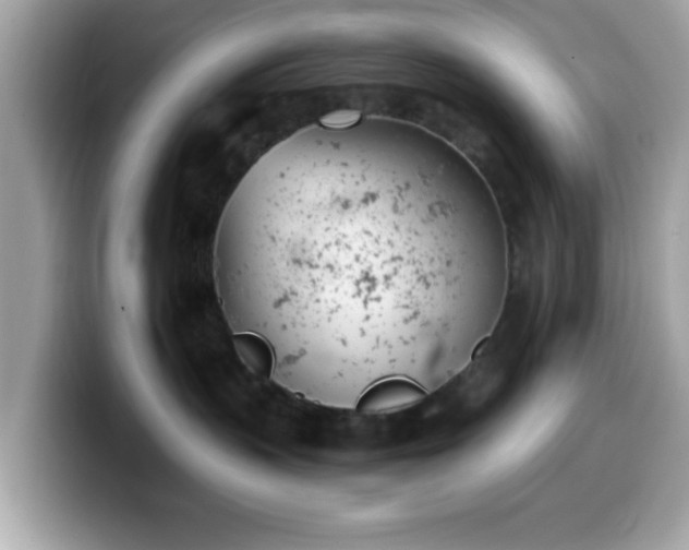 X0000099970383200805301338