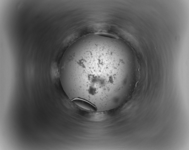 X0000099970384200805301338