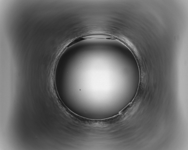 X0000099970385200805301338