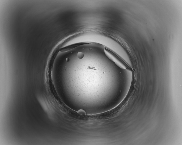 X0000099970388200805301338