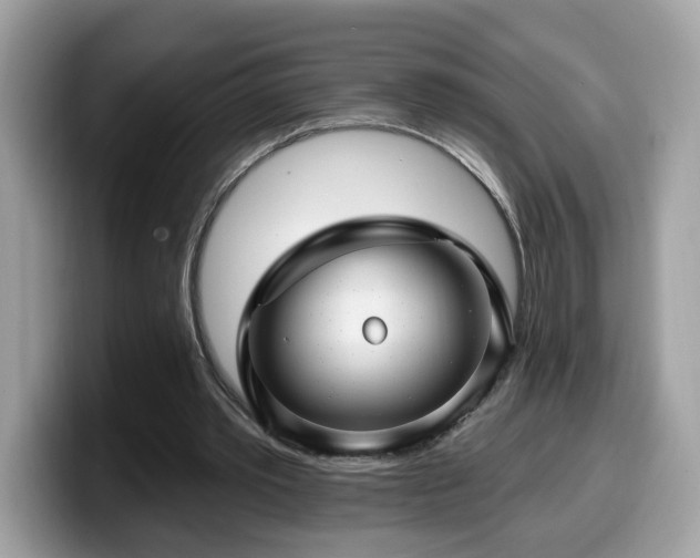 X0000099970389200805301338