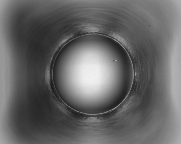 X0000099970390200805301338