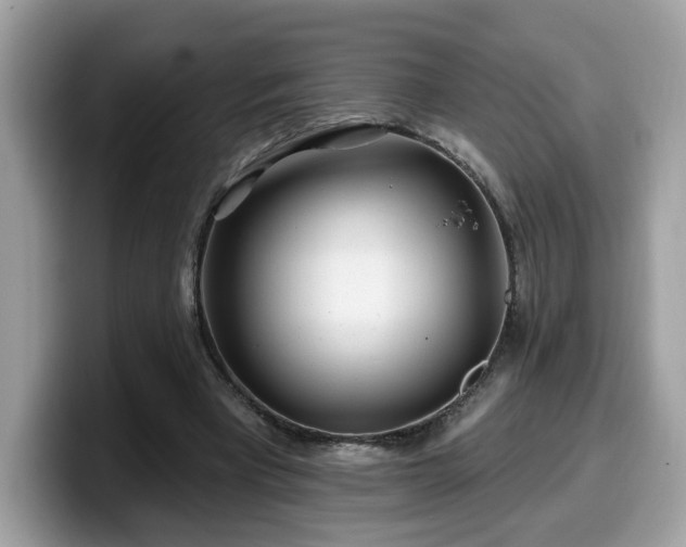 X0000099970393200805301338