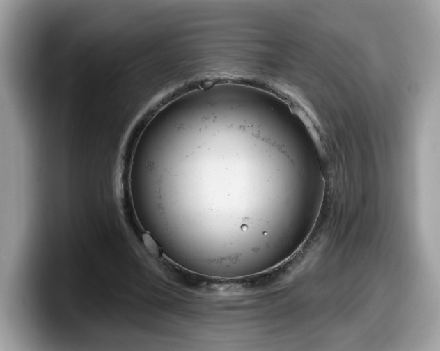 X0000099970395200805301338