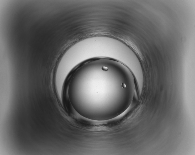 X0000099970397200805301338