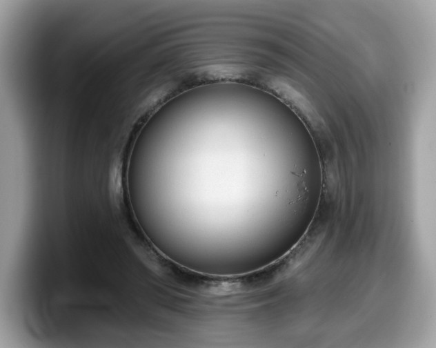 X0000099970398200805301338