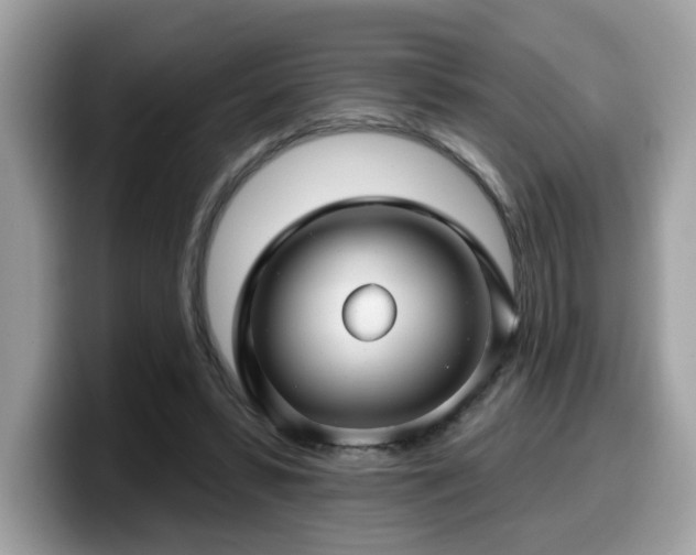 X0000099970399200805301338