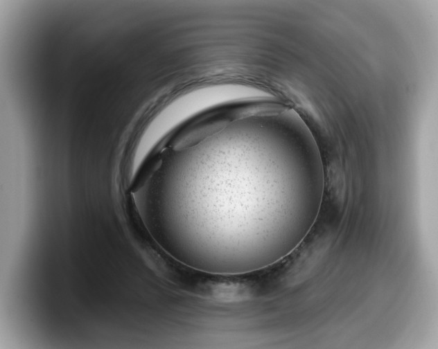 X0000099970400200805301338