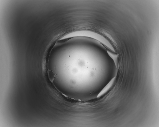 X0000099970403200805301338