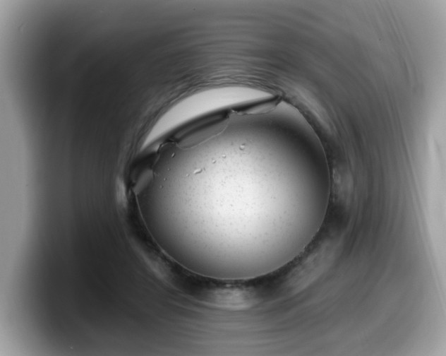 X0000099970404200805301338