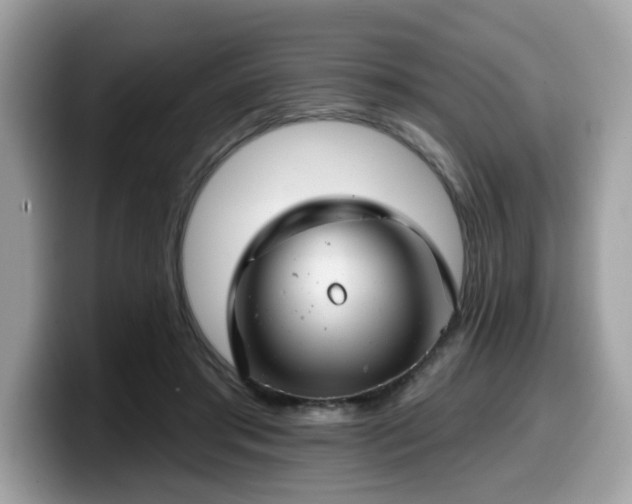 X0000099970405200805301338