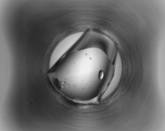 X0000099970407200805301338