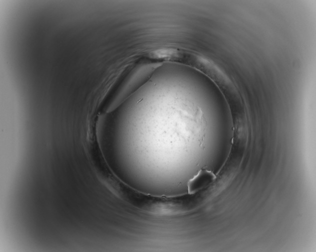 X0000099970408200805301338