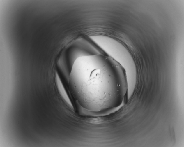 X0000099970411200805301337