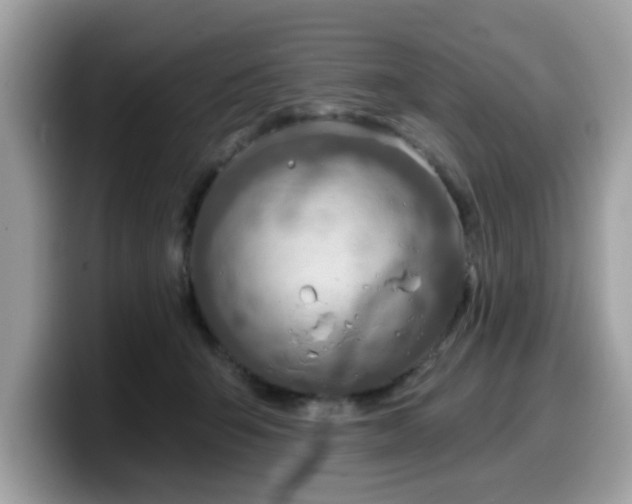 X0000099970415200805301337