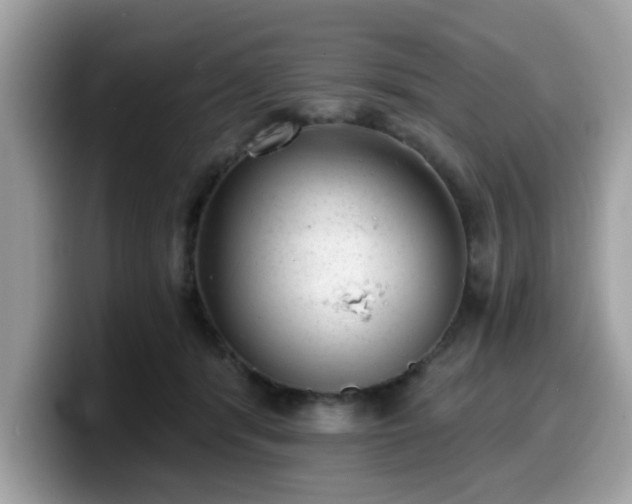 X0000099970416200805301337