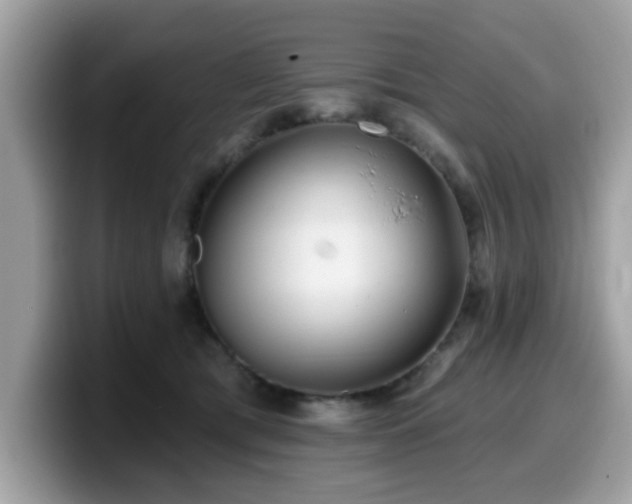 X0000099970417200805301337