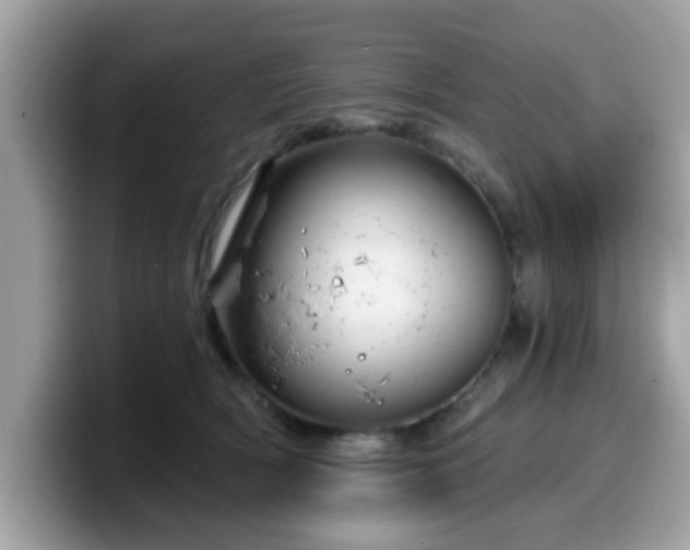 X0000099970418200805301337