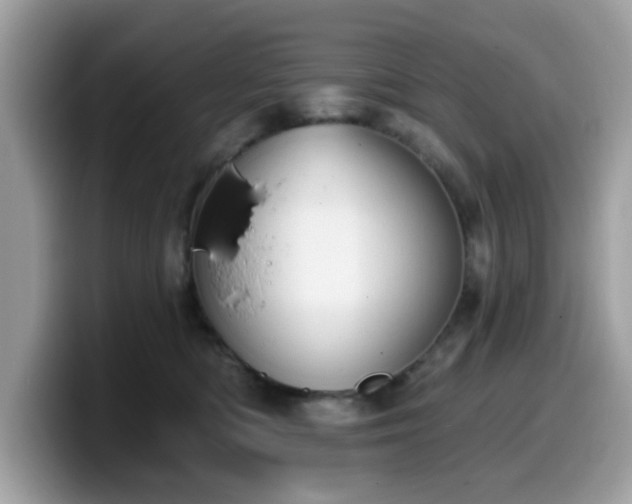 X0000099970422200805301337