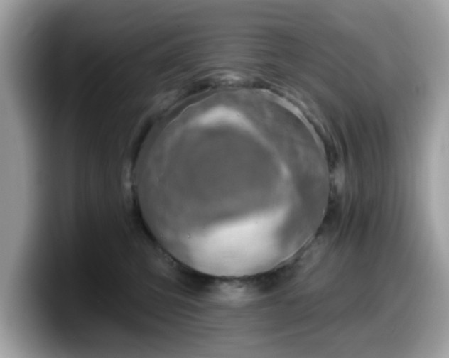 X0000099970423200805301337