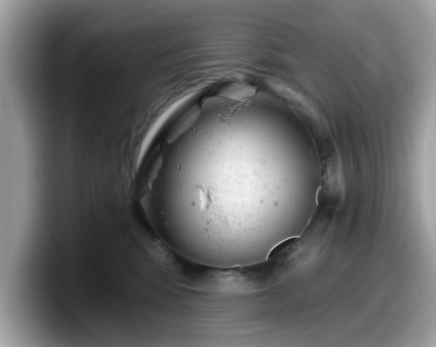 X0000099970424200805301337