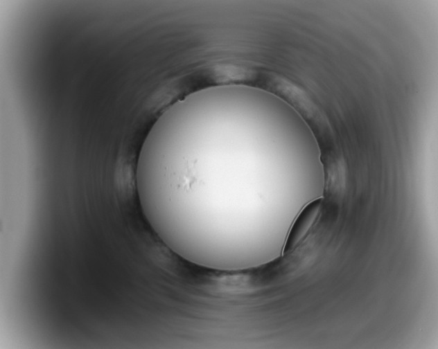 X0000099970426200805301337