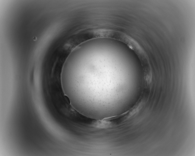 X0000099970429200805301337