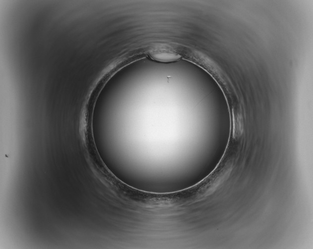 X0000099970435200805301337