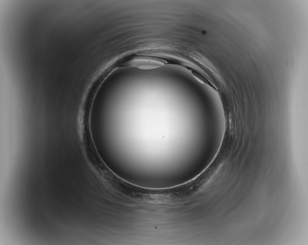 X0000099970436200805301337